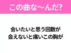 【ヒット曲クイズ】歌詞「会いたいと思う回数が 会えないと痛いこの胸が」で有名な曲は？大ヒットドラマの主題歌！