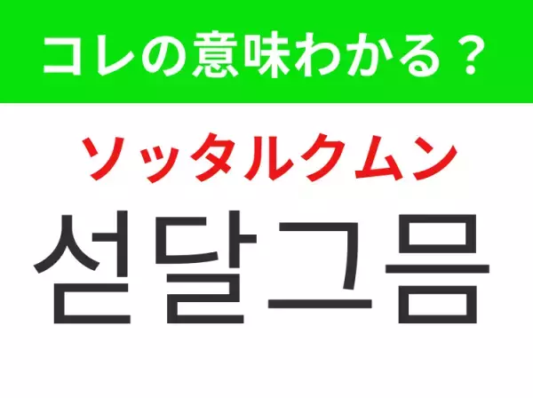 【韓国生活編】覚えておきたいあの言葉！「섣달그믐（ソッタルクムン）」の意味は？