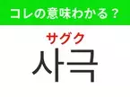 【韓国ドラマ編】覚えておきたいあの言葉！「사극（サグク）」の意味は？