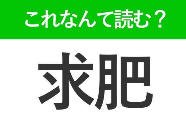 【求肥】はなんて読む？甘くて柔らかなあの和菓子です！