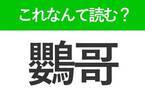 【鸚哥】はなんて読む？かわいらしい動物の名前を表わす難読漢字！