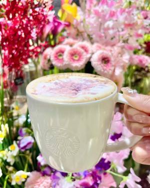 今だけのスペシャルドリンクは驚くほど華やか！【スタバ】まるでブーケみたいなご褒美感のある癒しの1杯♡