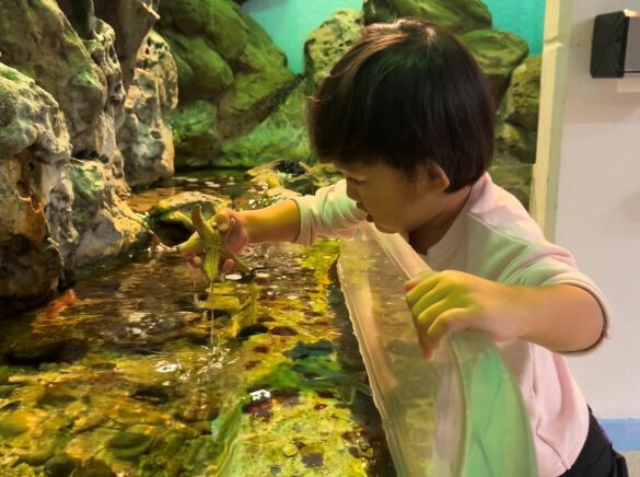 通年で楽しめる九州特選スポット「宮崎・下阿蘇ビーチ」をご紹介【九州ママ通信Vol.10】