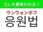 【K-POP編】覚えておきたいあの言葉！「응원법（ウンウォンボブ）」の意味は？