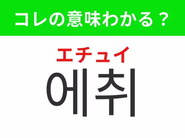 【韓国生活編】覚えておきたいあの言葉！「에취（エチュイ）」の意味は？