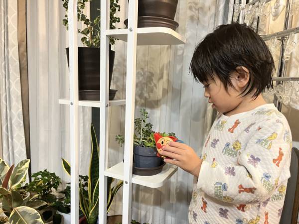 「お風呂イヤイヤ期でもう大変！」我が家はちょっとした工夫で解消しました