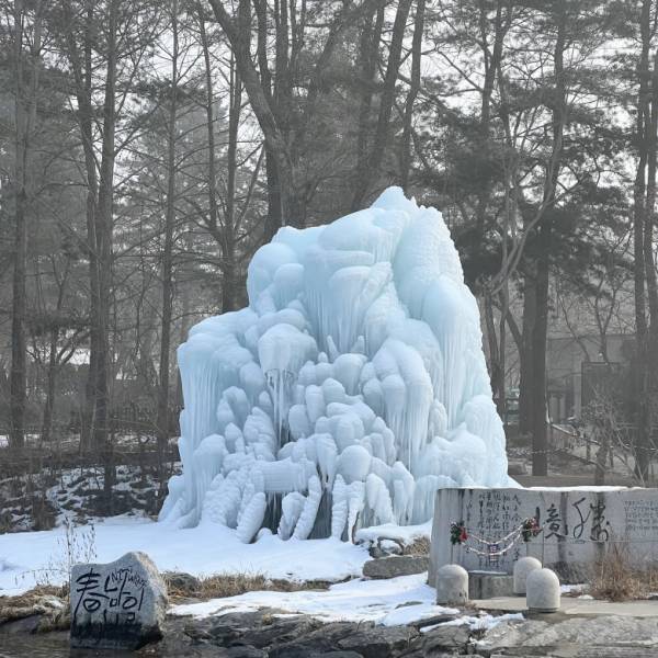 人気『冬のソナタ』の名所！「韓国・南怡島（ナミソム）」に行ってきた！【ソウル在住・編集エミの韓国レポ】