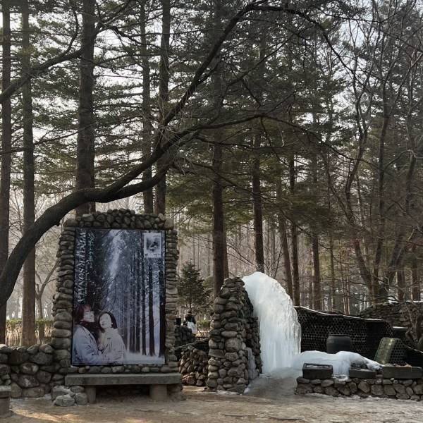 人気『冬のソナタ』の名所！「韓国・南怡島（ナミソム）」に行ってきた！【ソウル在住・編集エミの韓国レポ】