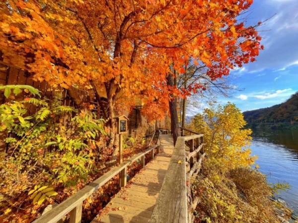 人気『冬のソナタ』の名所！「韓国・南怡島（ナミソム）」に行ってきた！【ソウル在住・編集エミの韓国レポ】