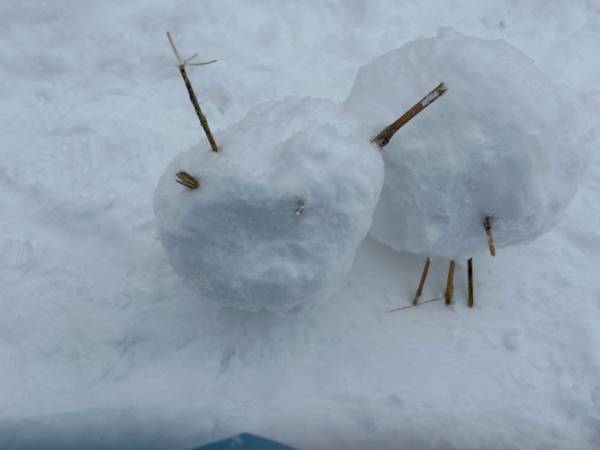 「家族の“こんなことがしたい”を大切に！」2025年の抱負【ラジオ大阪アナ・和田家】の場合