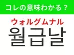 【韓国生活編】覚えておきたいあの言葉！「월급날（ウォルグムナル）」の意味は？