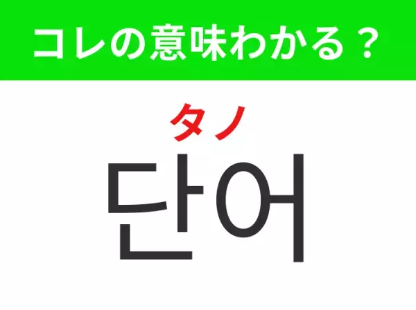 【韓国生活編】覚えておきたいあの言葉！「단어（タノ）」の意味は？
