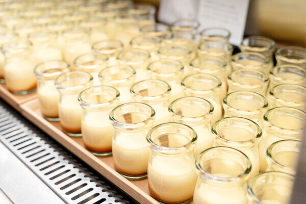 【ファミリー向け最新スポット！】別府温泉 杉乃井ホテル「星館」をご紹介【九州ママ通信Vol.12】