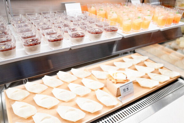 【ファミリー向け最新スポット！】別府温泉 杉乃井ホテル「星館」をご紹介【九州ママ通信Vol.12】