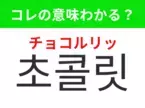 【韓国グルメ編】覚えておきたいあの言葉！「초콜릿（チョコルリッ）」の意味は？