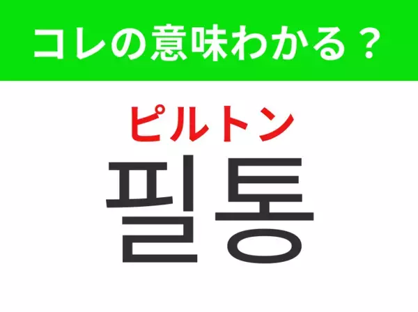 【韓国生活編】覚えておきたいあの言葉！「필통（ピルトン）」の意味は？