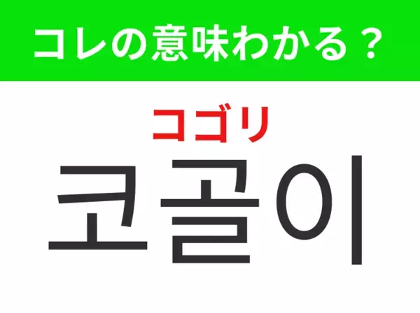 【韓国生活編】覚えておきたいあの言葉！「코골이（コゴリ）」の意味は？