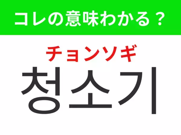【韓国生活編】覚えておきたいあの言葉！「청소기（チョンソギ）」の意味は？