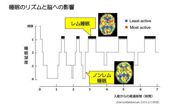 良い睡眠ってどんな状態？ 睡眠中に体内で起きていること【ママのための睡眠講座1】