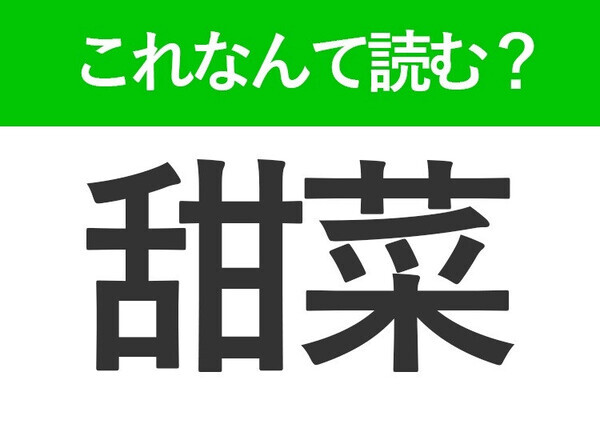 【甜菜】はなんて読む？砂糖がとれる植物！