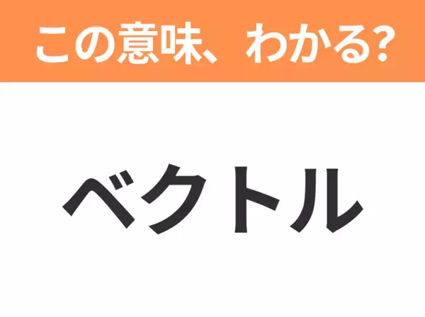 【ビジネス用語クイズ】「ベクトル」の意味は？社会人なら知っておきたい言葉！