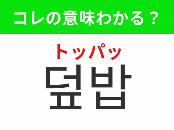 【韓国グルメ編】覚えておきたいあの言葉！「덮밥（トッパッ）」の意味は？