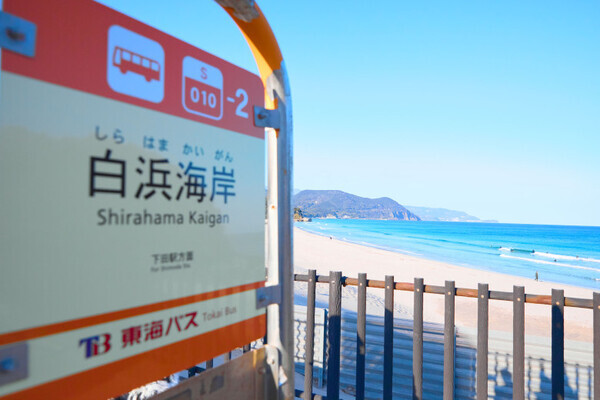 「温泉、サウナ、女子旅で癒される！」【ホテル伊豆急】で寛ぎの休日を！