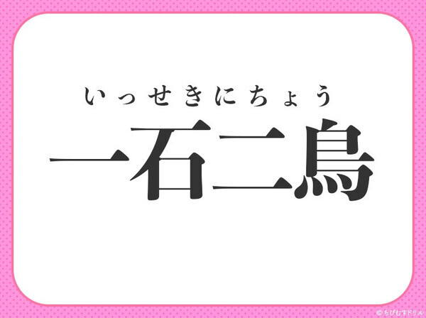 小学生ならすぐわかる！？【一つの石を投げて二羽の鳥をしとめる】四字熟語とは？