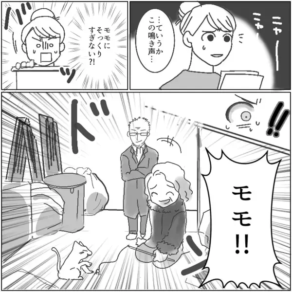 近所の迷惑夫婦に愛猫を盗まれた！？「は？うちの飼い猫だけど」「証拠出してみろよ」