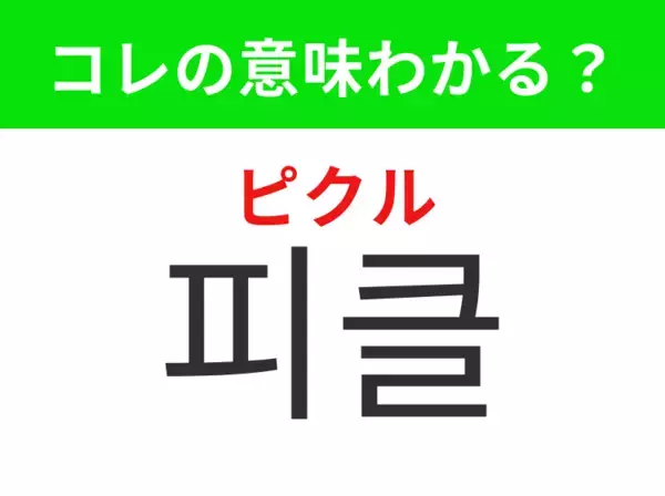 【韓国グルメ編】覚えておきたいあの言葉！「피클（ピクル）」の意味は？