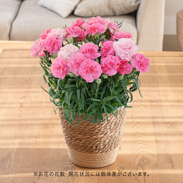 「お母さんありがとう」想いが届く【日比谷花壇】母の日フラワーギフト