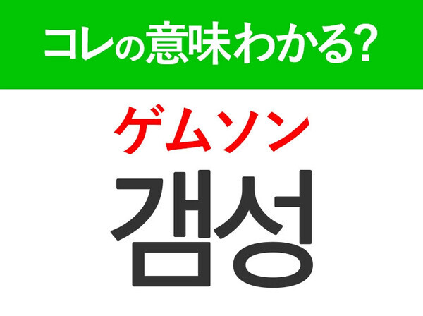 【韓国旅行に行く人は要チェック！】「갬성（ゲムソン）」の意味は？韓国人がリアルに使う言葉！現地で使える韓国語3選