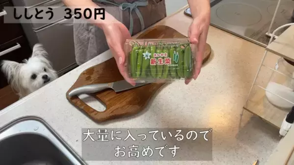 「これ全部買ってみて！」マニアも絶賛【業務スーパーおすすめ】非常用の保存食や調味料、野菜など＜後編＞