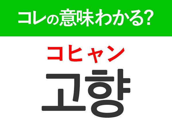 【韓国旅行に行く人は要チェック！】「고향（コヒャン）」の意味は？韓国人がリアルに使う言葉！現地で使える韓国語3選