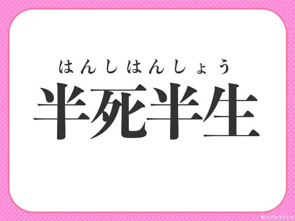 小学生が習う四字熟語【半ば死にかけ状態！？】〇に入る漢字わかる？