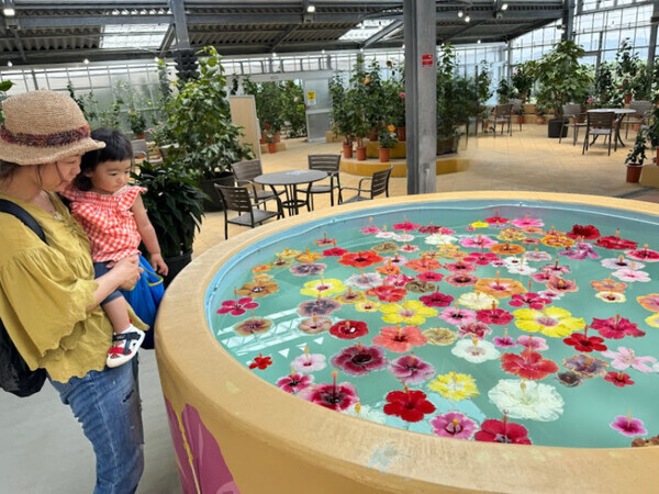 GWにおすすめ！沖縄・伊江島へ…日本一早いゆり祭りに注目です【九州ママ通信Vol.13】