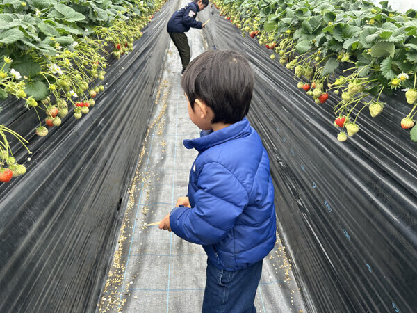 「どうする？どうしてる？」宿題のない春休みの過ごし方【ラジオ大阪・和田家】の場合