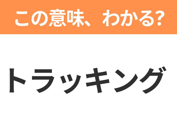 【新社会人は必見！】「トラッキング」の意味は？覚えておきたいビジネス用語3連発