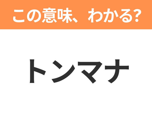 【新社会人は必見！】「トンマナ」の意味は？覚えておきたいビジネス用語3連発