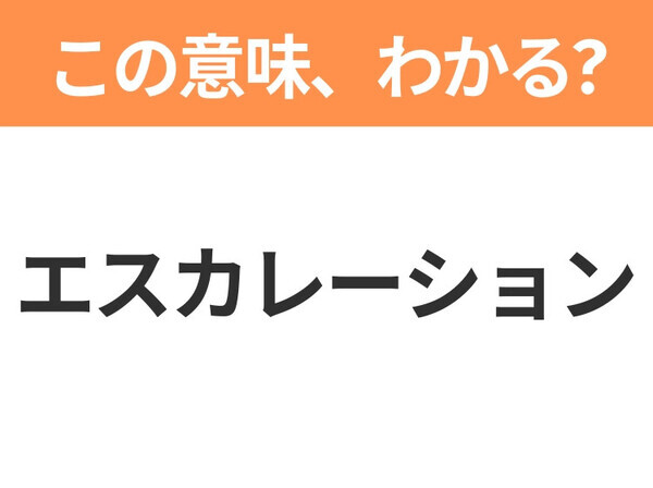 【新社会人は必見！】「バジェット」の意味は？覚えておきたいビジネス用語3連発
