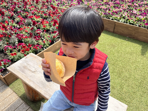 「春のお出かけに行ってみて♪」今年も開催【ガーデンネックレス横浜2025】の必見スポットをご紹介します