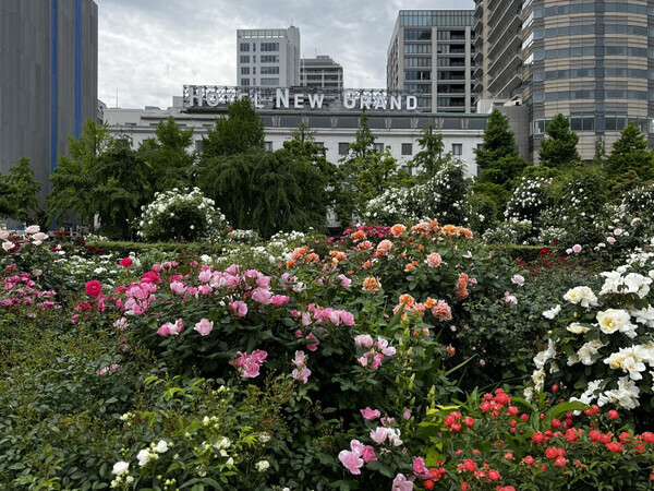 「春のお出かけに行ってみて♪」今年も開催【ガーデンネックレス横浜2025】の必見スポットをご紹介します