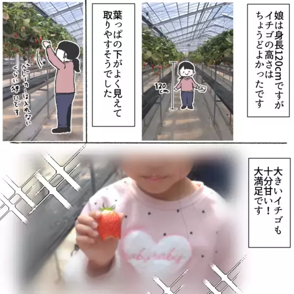 「時間無制限でイチゴが食べ放題♡」蒲郡オレンジパークのいちご狩りレポ