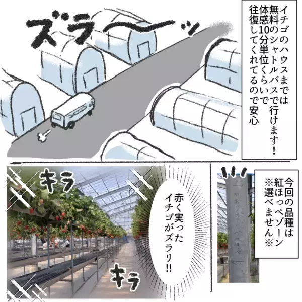 「時間無制限でイチゴが食べ放題♡」蒲郡オレンジパークのいちご狩りレポ