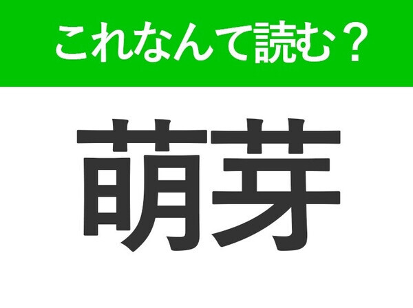 【滑滑】はなんて読む？手触りを表す難読漢字