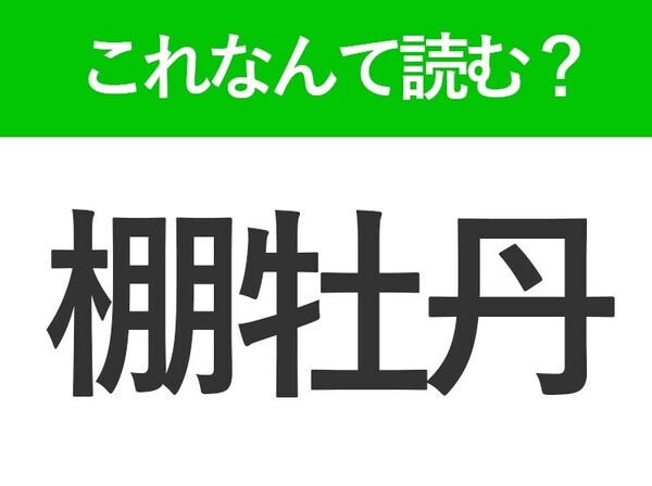 【棚牡丹】はなんて読む？「たなぼたん」ではありません！