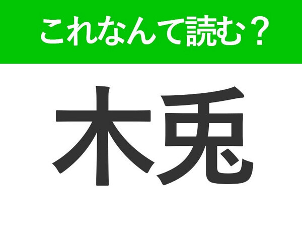 【木兎】はなんて読む？「きうさぎ」ではありません！意外な鳥の名前