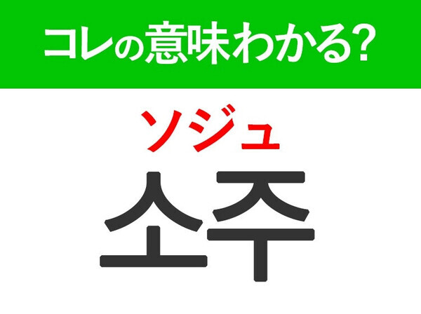 韓国語「소주（ソジュ）」の意味は？お酒好きなら知っておきたい言葉！