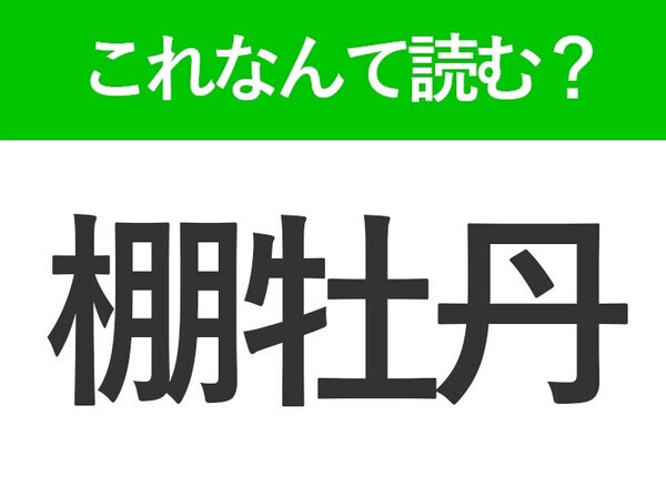 【礼賛】はなんて読む？「れいさん」ではありません！