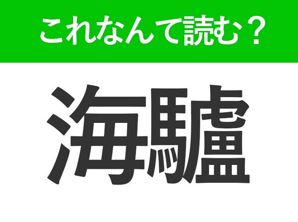 【海驢】はなんて読む？海に住む生きものを表す難読漢字！